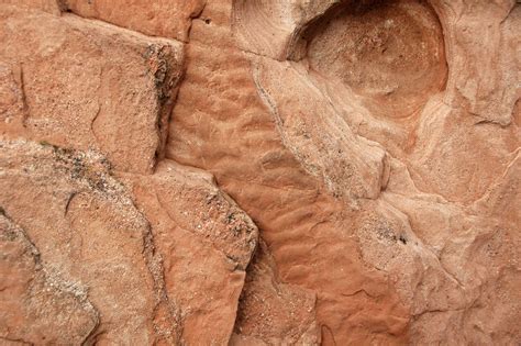 Ripple Marks In Sandstone Lyons Sandstone Permian Garde Flickr