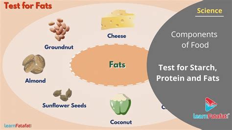 Components Of Food Class 6 Science Test For Starch Protein And Fats