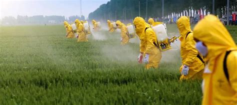 Pestizidvergiftung Symptome Behandlung Behandlung Und Vorbeugung