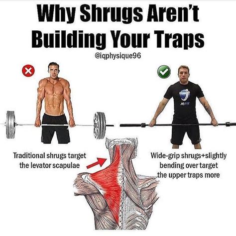 Traps Workout And Training Plan To Build Towering Traps Trapsworkout