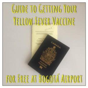This certificate becomes valid 10 days after vaccination and is good for 10 years. Guide To Getting Your Yellow Fever Vaccine for FREE at ...