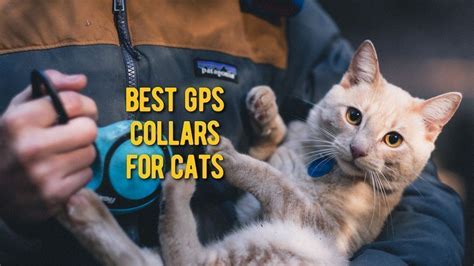 ᐉ Best Cat Gps Tracker Top Rated Cat Gps Collar Devices Review