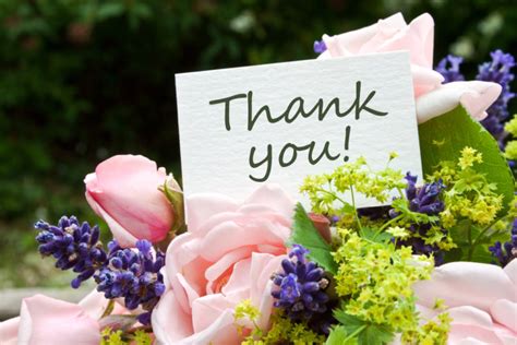 Different Ways Of Saying Thank You With Flowers Floraqueen En