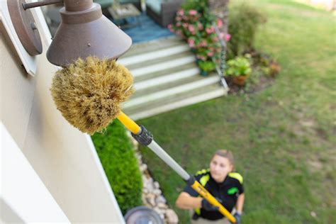 Pest Control Services In Newport News National Exterminating Company