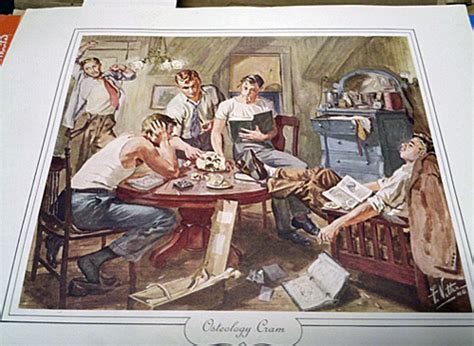 The medical illustrations of Frank Netter MD – Auction Finds