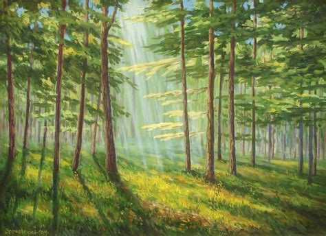Beech Forest Painting Wallpaper Nature And Landscape Wallpaper Better