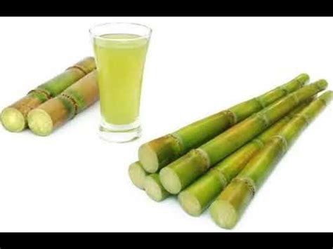 Itulah 20 manfaat air tebu dan khasiat minuman ini untuk kesehatan yang harus kamu ketauhi. WAJIB!!! Tahu Inilah 20 Manfaat dan Khasiat Air Tebu untuk ...