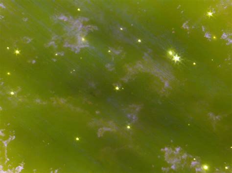 Ring Nebula S Intricate Beauty Revealed In Unprecedented Detail By Jwst