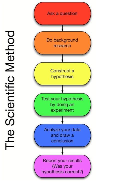 Describes The Steps Used During An Experiment Maddox Has Mcmahon