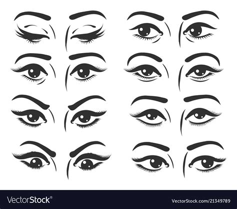 Female Eyes Expressions Set Royalty Free Vector Image
