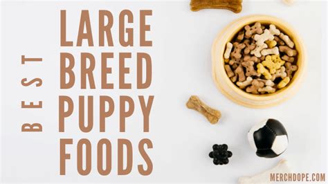 Below is a list of several large breeds that fall into this guide. Best Large Breed Puppy Foods - 2020 - MerchDope