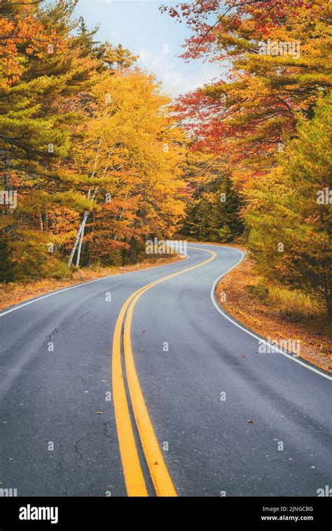 Winding Road Curves Through Scenic Autumn Foliage Trees In New England