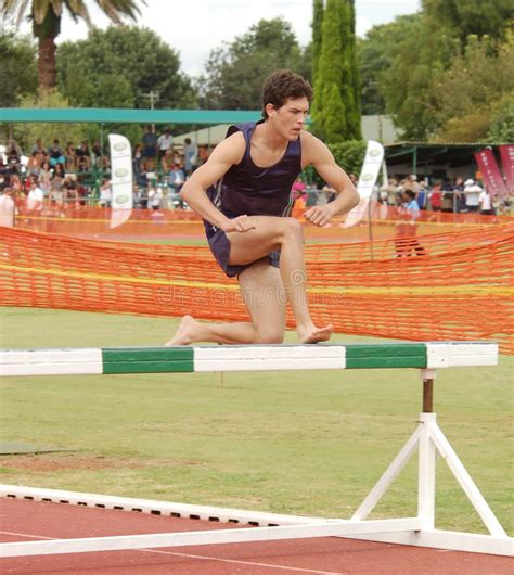 A horse race across country. Steeplechase Running Do Atleta Foto de Stock - Imagem de ...