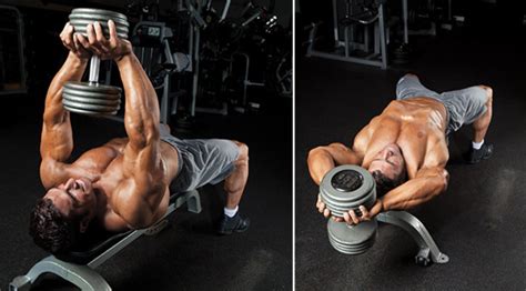 The Best Dumbbell Chest Exercises SoPosted Com