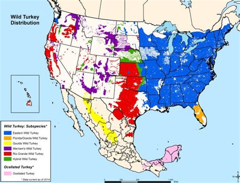 2017 California Oregon Turkey Hunting Maps Information Where To Hunt