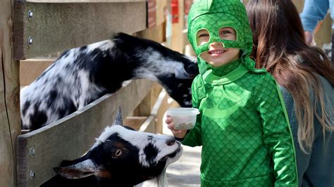 Wild Zoo Halloween Continues Through Oct 29 — Whatzup