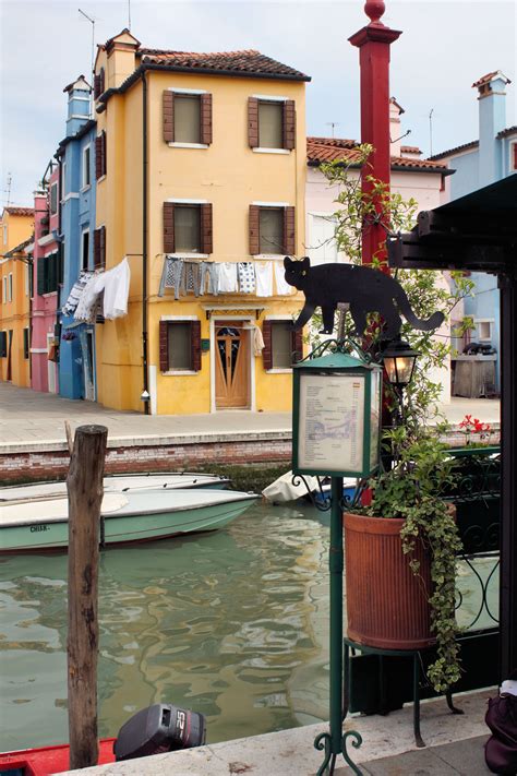 There are so many delicious things to eat at the best restaurants in venice: La Gatto Nero Restaurant on Burano | European architecture ...