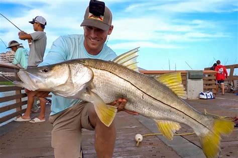 Top 5 Best Spots For Snook Fishing In Florida Florida Sportsman