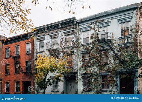 Vines On A Residential Building In The East Village Manhattan New