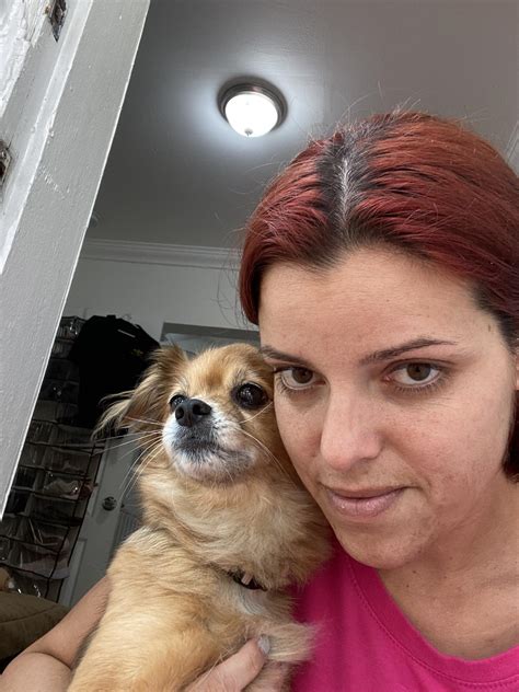 Lola - A Female Dog Lost - 103rd st nw 30th ave, West Little River