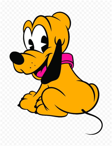 How Old Is Pluto The Dog