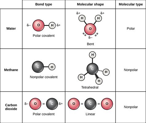 Ch4 and ccl4 have cancelling dipole moments and so are not polar. Difference Between Polar and Nonpolar Molecules ...