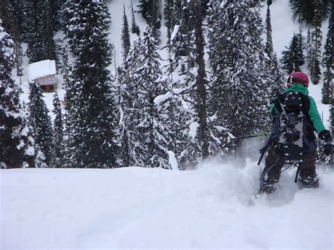We did not find results for: Snowy Mountain Alpine Tours