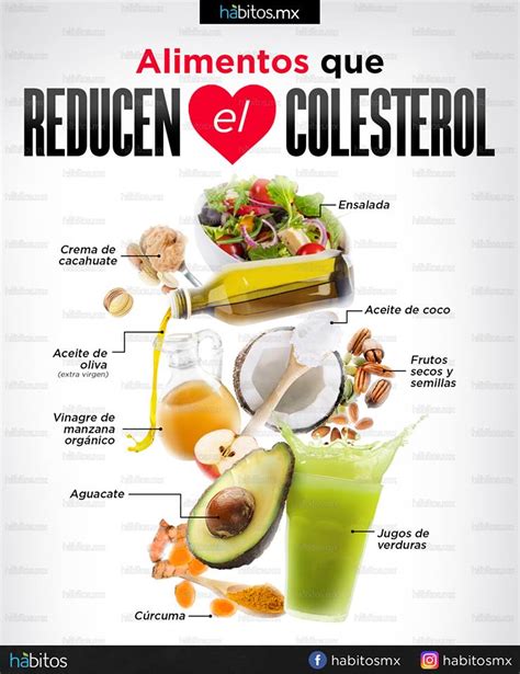 Alimentos Que Reducen El Colesterol “malo” Hábitos Health Coaching