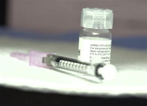 Moderna utilizes an innovative vaccine technology called messenger rna, or mrna. Novavax coronavirus vaccine is safe, published results ...