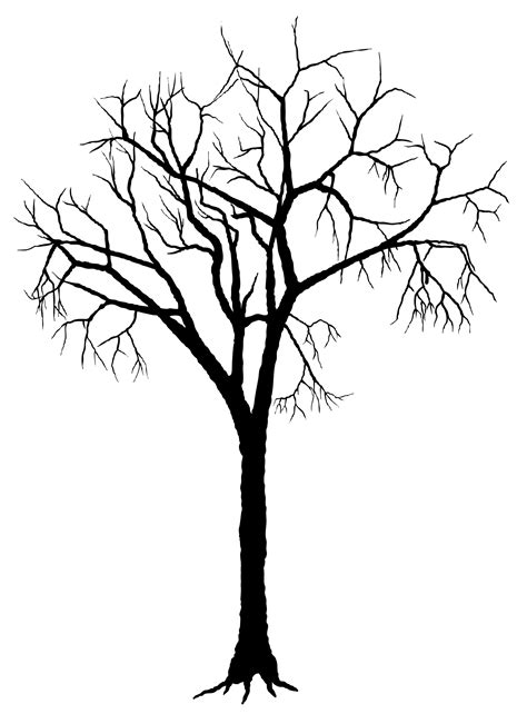 Dead Tree Drawing At Getdrawings Free Download