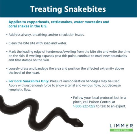 Back To The Basics Snakebites Limmer Education Llc