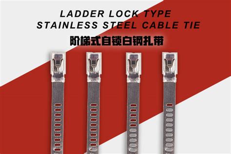 Naked Stainless Steel Cable Tie Wing Lock Type