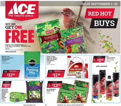 Ace Hardware Ad Circular - 09/01 - 09/30/2020 | Rabato