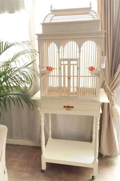 We did not find results for: Beautiful bird cage ideas 15 - Home Decor Interior in 2020 ...
