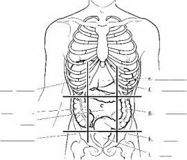 October 29, 2020 reading time in this article we will describe the anatomy of the right upper quadrant, what lies below this area of the abdominal wall, and which are the potential causes. Anatomical Planes Of The Body - Spinal Cord - RR School Of Nursing