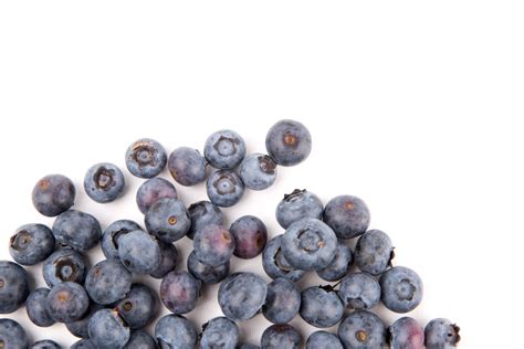 Fresh Blueberries Free Stock Photo Public Domain Pictures