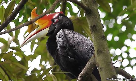 Antah berkumpul sama antah, beras bersama beras, b. Helang terbang tinggi buru pipit makan bangkai