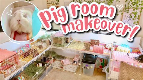 Huge Guinea Pig Room Makeover Building New Stacked C C Cages Youtube
