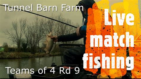 Live Match Fishing At Tunnel Barn Farm Youtube
