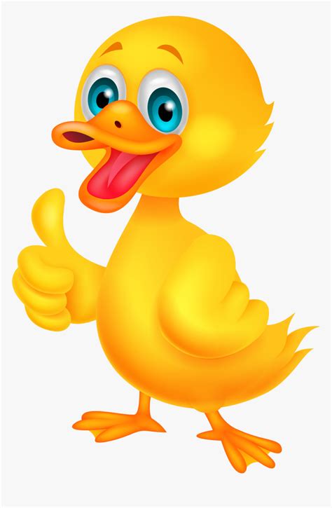 Duck Png Image Duck Cartoon Transparent Png Kindpng