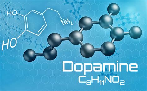 Définition Dopamine Futura Santé
