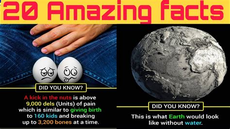 Top 10 Amazing Facts About Earth Interesting Facts Top 10 India Sahida