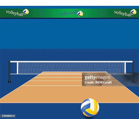 Volleyball Court Vector Photos And Premium High Res Pictures Getty Images