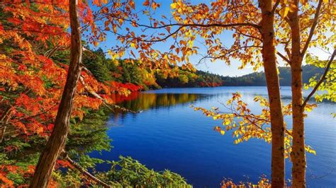 Autumn On The Lake Yahoo Image Search Results In 2020 Autumn Lake