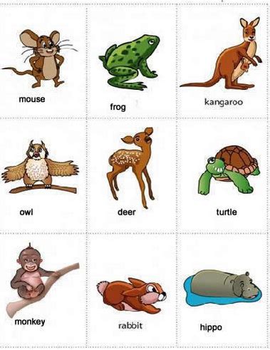 nama hewan dalam bahasa inggris 3 | Hewan, Kartu flash