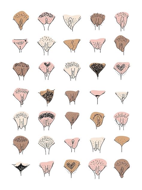 Pussy Art Poster For Sale By Tinteria Redbubble