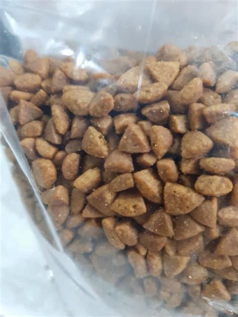 ∙ promo pengguna baru ∙ kurir instan ∙ bebas ongkir ∙ cicilan 0%. Jual Makanan Anak Kucing Equilibrio KITTEN 7,5kg 7.5kg 7,5 ...