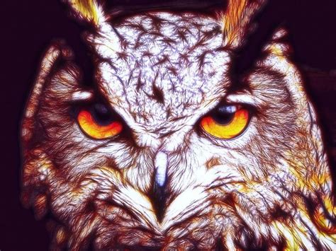 Owl Fractal By Lilia D Owl Digital Artwork Fractals