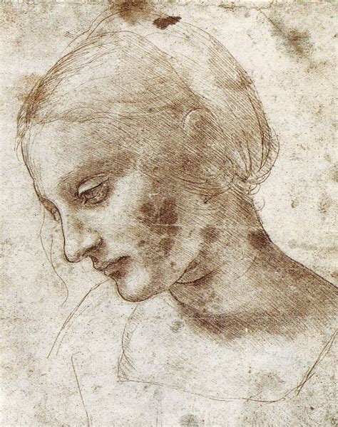 Leonardo Da Vinci Drawings