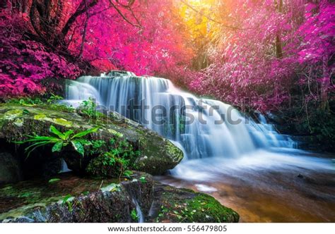 Amazing Waterfall Colorful Autumn Forest Stock Photo Edit Now 556479805